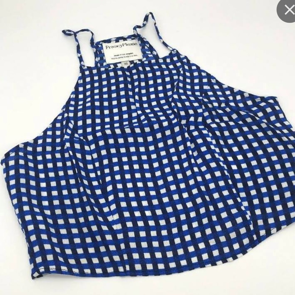 Privacy please blue gingham top XS